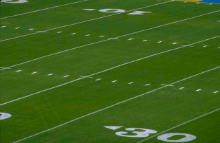 portion of grass field, showing lines across the field every five yards, with tick-marks indicating each yard-line between the five-yard marks